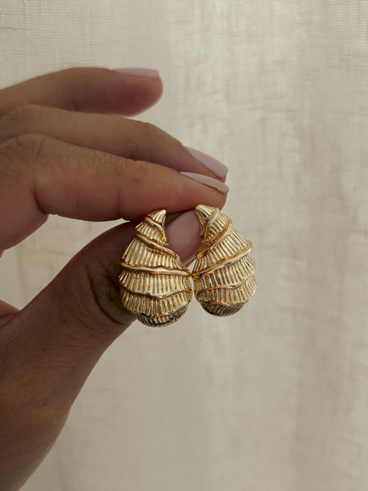 Queen Conch