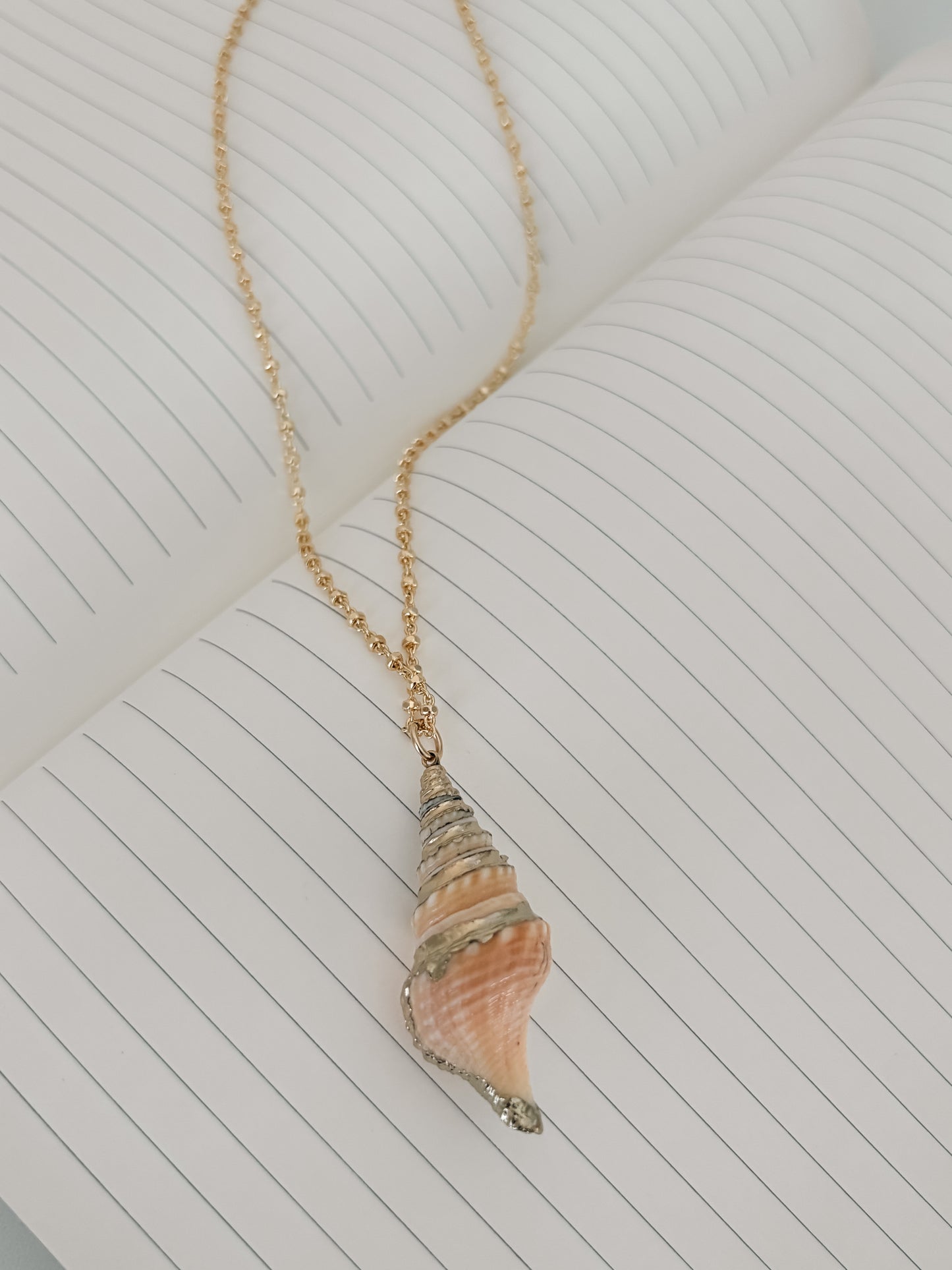 Seashell Necklace